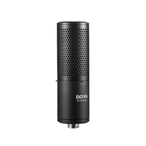 میکروفون استودیویی بهرینگر Behringer C2 Studio Condenser Microphone